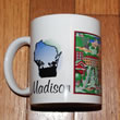 mug madison 2475.jpg